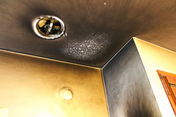 Cost of Smoke Damage Removal in Knoxville